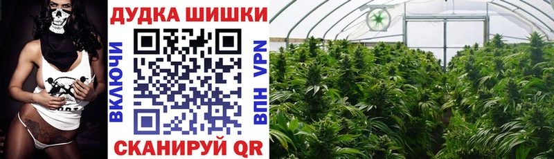 Где продают наркотики Шахты КОКАИН  Меф мяу мяу  АМФ  Бошки Шишки  А ПВП 