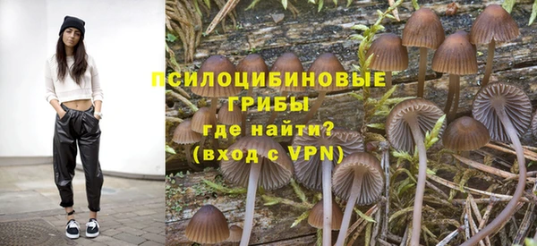 PSILOCYBIN Вязники