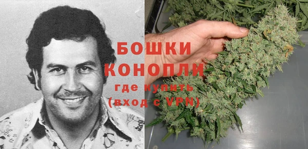дживик Лагань