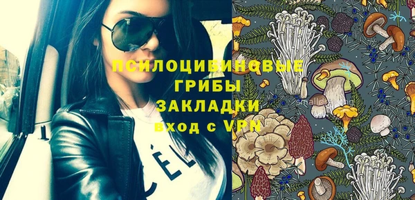 не бодяженный Кукмор