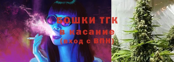 дживик Лагань