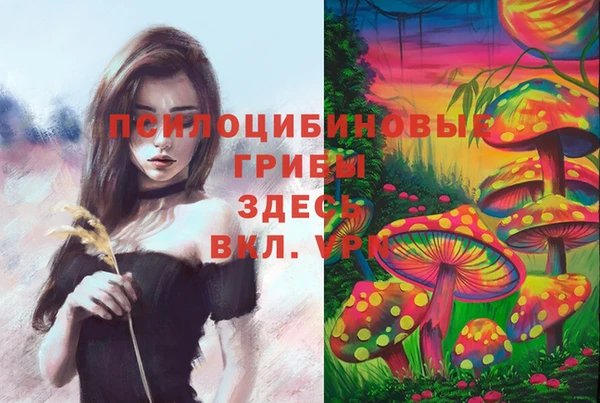 марки lsd Ладушкин