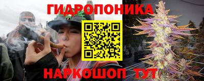 прущие грибы Бийск