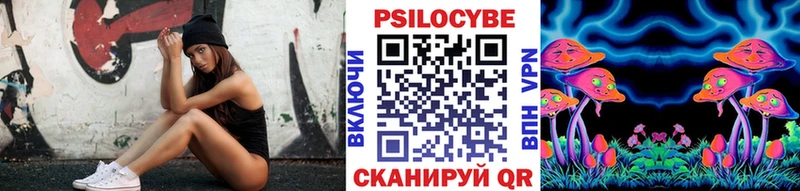 дарк нет наркотические препараты  где можно купить наркотик  Шахты  Галлюциногенные грибы Magic Shrooms 