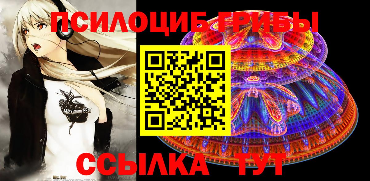 Псилоцибиновые грибы ЛСД  Вход с VPN  Шахты  Псилоцибиновые грибы Psilocybine cubensis 