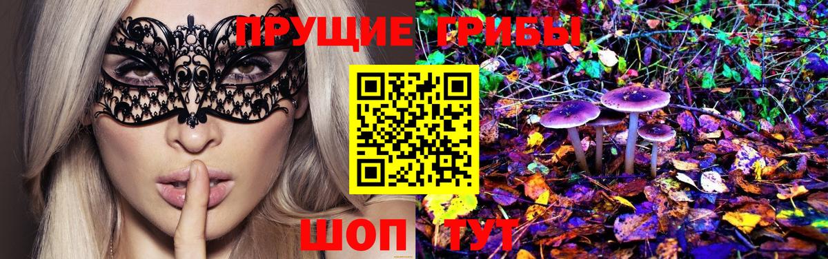 Псилоцибиновые грибы GOLDEN TEACHER Шахты