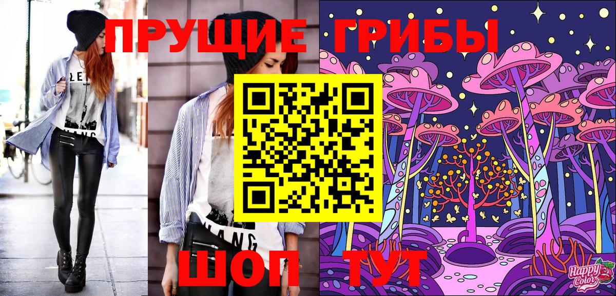 Галлюциногенные грибы Psilocybe Шахты
