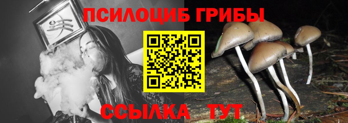 A PVP Шахты